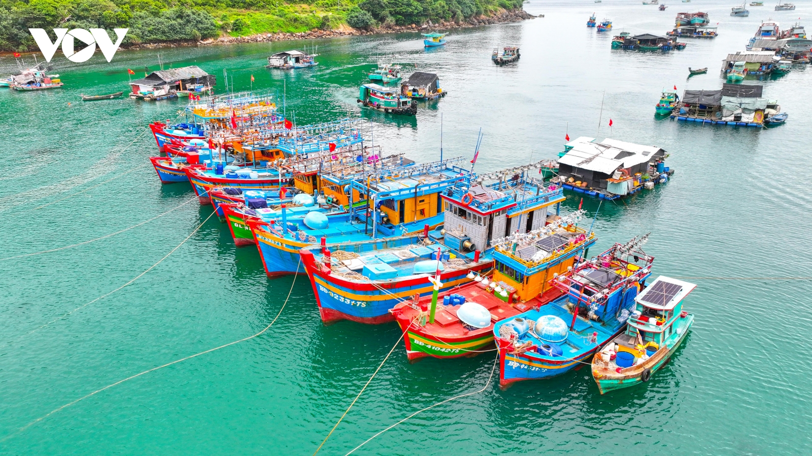 Nông nghiệp An Giang - bệ đỡ kinh tế địa phương